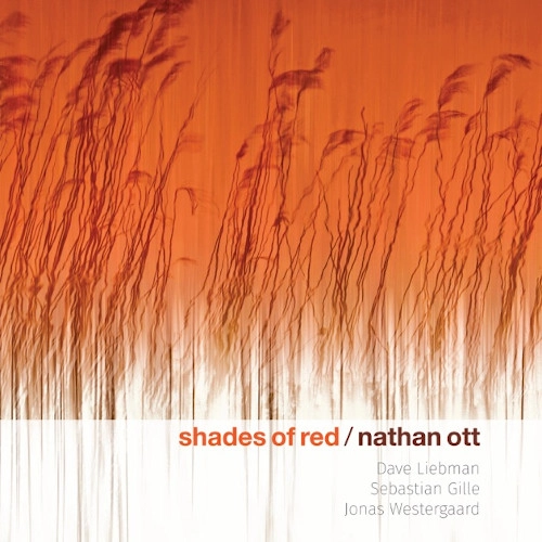 NATHAN OTT / SHADES OF RED