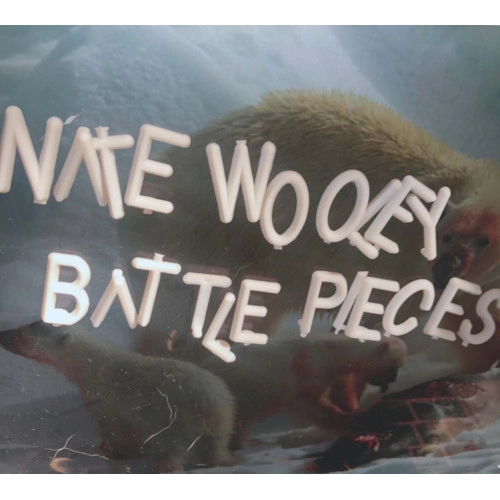 NATE WOOLEY / ネイト・ウーリー / BATTLE PIECES 4