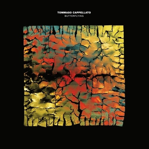 TOMMASO CAPPELLATO / トマッソ・カッペラット / BUTTERFLYING