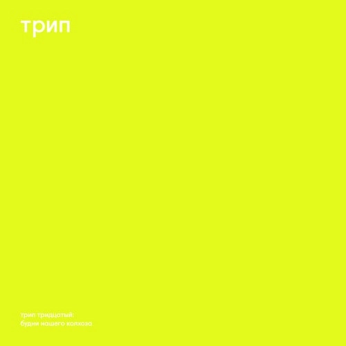 VLADIMIR DUBYSHKIN / ウラジミール・ダヴシュキン / BUDNI NASHEGO KOLHOZA