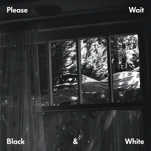 PLEASE WAIT (TA-KU & MATT MCWATERS) / BLACK & WHITE EP
