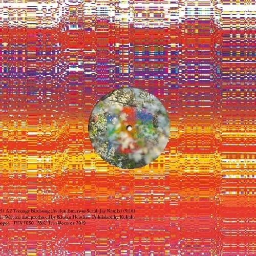 FOUR TET / フォー・テット / TEENAGE BIRDSONG
