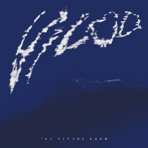 VILOD (RICARDO VILLALOBOS & MAX LODERBAUER) / ヴィロッド / CLOUDS KNOW (2LP)