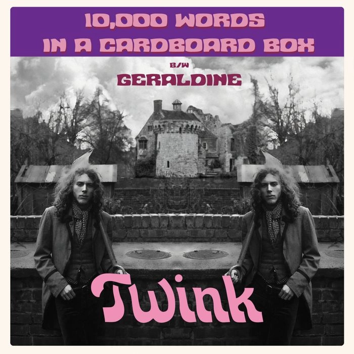 TWINK / ZION DE GALLIER / 10.000 WORDS IN A CARDBOARD BOX