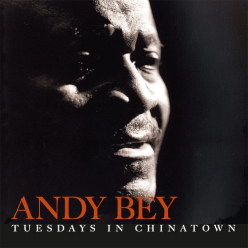 ANDY BEY / アンディ・ベイ / TUESDAYS IN CHINATOWN