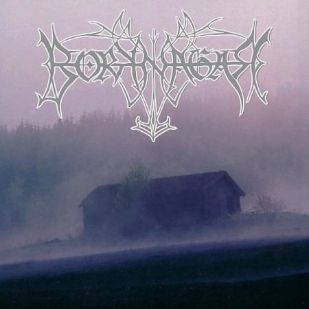 BORKNAGAR / ボルクネイガー / BORKNAGAR