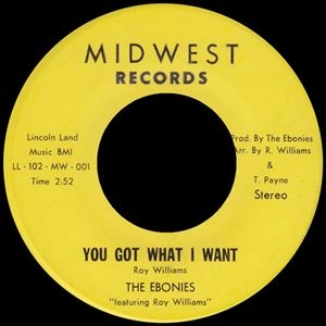 EBONIES / YOU GOT WHAT I WANT