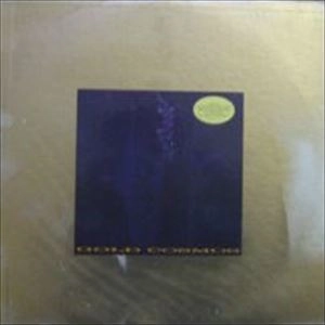 JOSHUA BURKETT / GOLD COSMOS