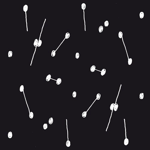 ARIL BRIKHA / アリ・ブリッカ / DANCE OF A TRILLION STARS