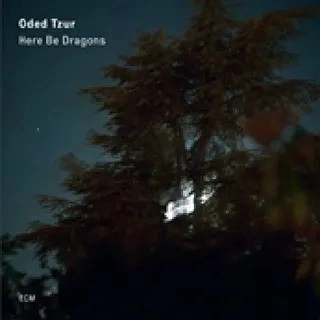 ODED TZUR / オデッド・ツール / HERE BE DRAGONS