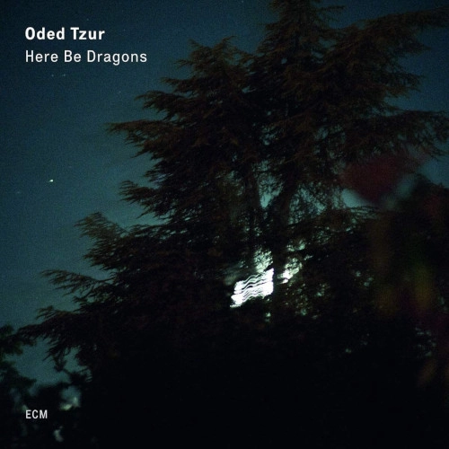 ODED TZUR / オデッド・ツール / HERE BE DRAGONS