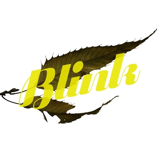 HEATWAVE (JPN) / ヒートウェイヴ (JPN) / BLINK