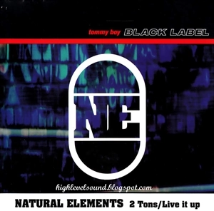 NATURAL ELEMENTS (MR.VOODOO, L-SWIFT, A BUTTA) / 2 TONS / LIVE IT UP