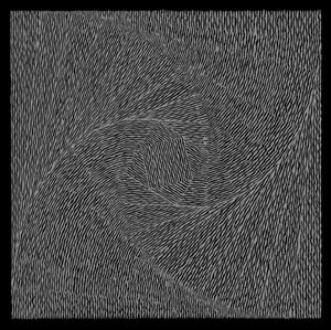 GROUPER / RUINS