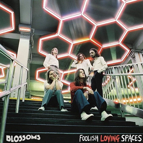 BLOSSOMS (UK ROCK) / ブロッサムズ / FOOLISH LOVING SPACES