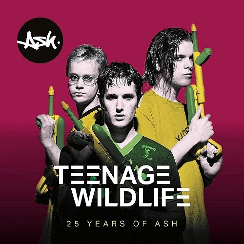 ASH / TEENAGE WILDLIFE: 25 YEARS OF ASH 