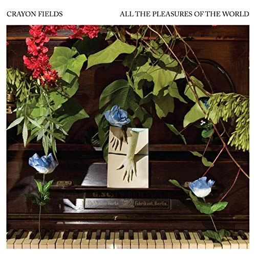CRAYON FIELDS / クレヨン・フィールズ / ALL THE PLEASURES OF THE WORLD (DELUXE EDITION) (BLUE & GREEN GALAXY SWIRL)