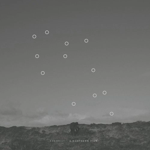 ARBORIST / アーボリスト / A NORTHERN VIEW (LP)