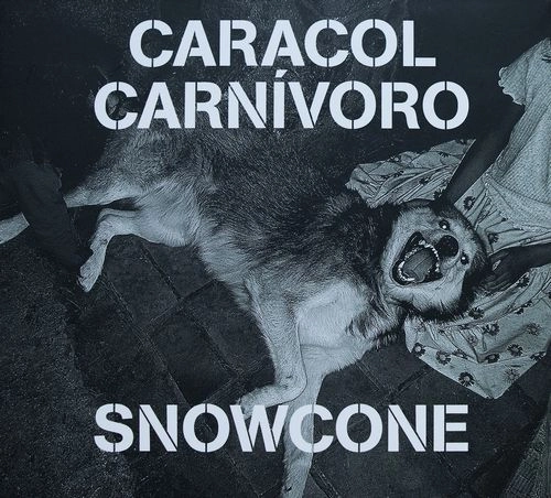 CARACOL CARNIVORO / SNOWCONE