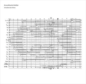 ERNSTALBRECHT STIEBLER / エルンストアルブレヒト・シュティーブラー / ZWISCHEN DEN TONEN