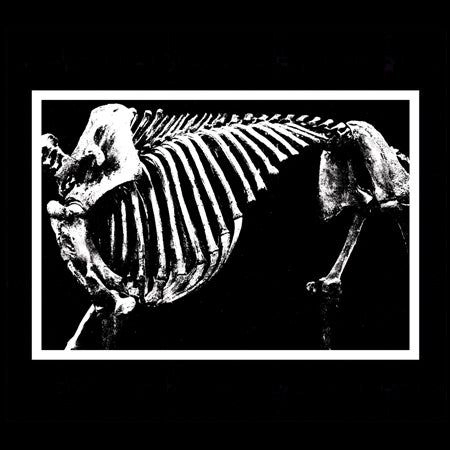 KJOSTAD / ENVIRONMENT ELECTRONICS (CD)