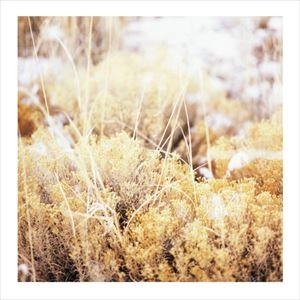 MAMIFFER / マミファー / BRILLIANT TABERNACLE