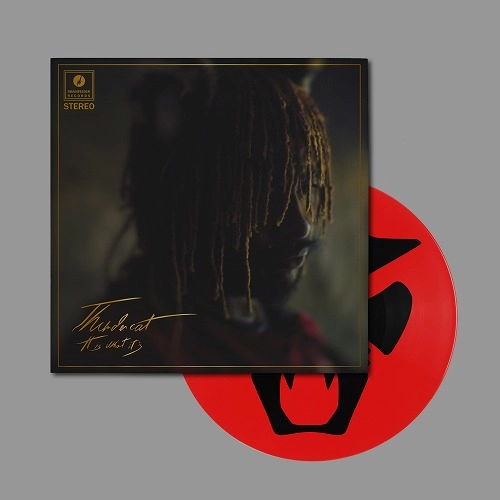 THUNDERCAT / サンダーキャット / It Is What It Is "DELUXE LP+DL" (PICTURE VINYL)