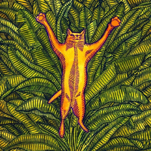 BRIAN MARSELLA / ブライアン・マルセラ / Gatos Do Sul