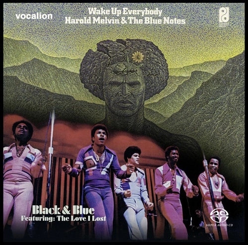 HAROLD MELVIN & THE BLUE NOTES / ハロルド・メルヴィン&ザ・ブルー・ノーツ / BLACK AND BLUE & WAKE UP EVERYBODY