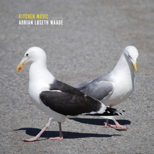 ADRIAN LOSETH WAADE / KITCHEN MUSIC