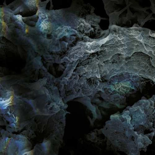 LSD(LUKE SLATER,STEVE BICKNELL,FUNCTION) / THIRD PROCESS