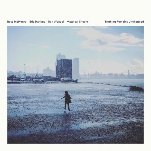 ROSS MCHENRY / ロス・マクヘンリー / NOTHING REMAINS UNCHANGED