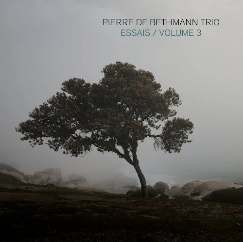 PIERRE DE BETHMANN / ピエール・デ・ベトマン / ESSAIS,VOL.3