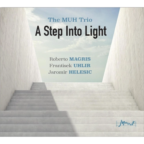 MUH TRIO / STEP INTO LIGHT
