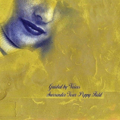 GUIDED BY VOICES / ガイデッド・バイ・ヴォイシズ / SURRENDER YOUR POPPY FIELD