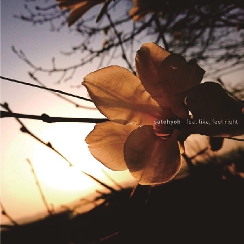 satohyoh / "feel like, feel right"