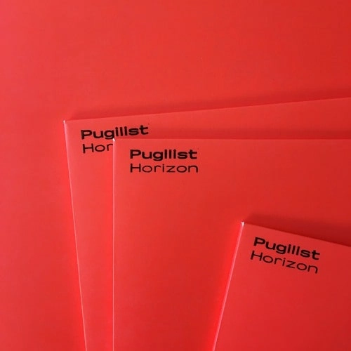 PUGILIST / HORIZON
