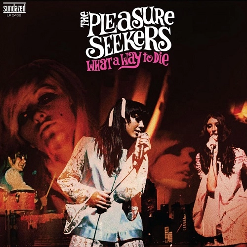 PLEASURE SEEKERS / プレジャーシーカーズ / ホワット･ア･ウェイ･トゥ･ダイ