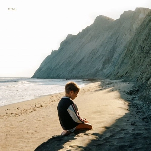 TYCHO / ティコ / SIMULCAST (LP)