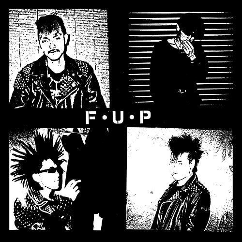 F.U.P / noise and chaos LP