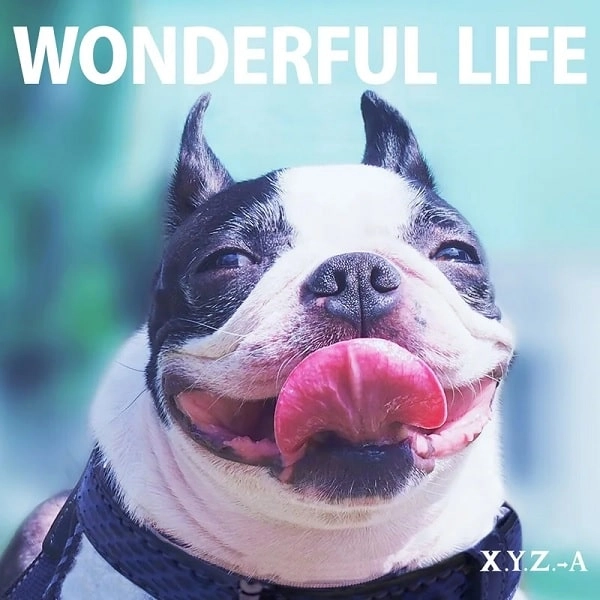 X.Y.Z. A / X.Y.Z.→A / WONDERFUL LIFE <通常盤>