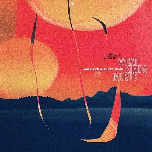 TOM MISCH & YUSSEF DAYES / トム・ミッシュ&ユセフ・デイズ / What Kinda Music (国内盤CD)