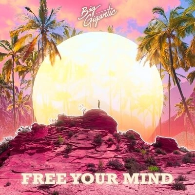 BIG GIGANTIC / FREE YOUR MIND (LP)