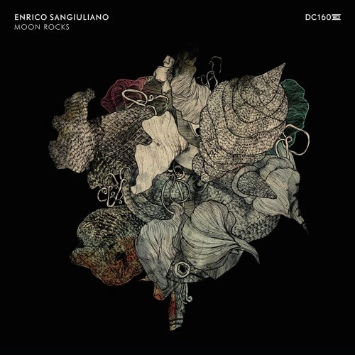 ENRICO SANGIULIANO / MOON ROCKS