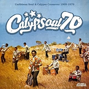 V.A.(CALYPSOUL 70: CARIBBEAN SOUL 1969-1979) / カリプソウル70:カリビアン･ソウル&カリプソ･クロスオーヴァー1969-1979
