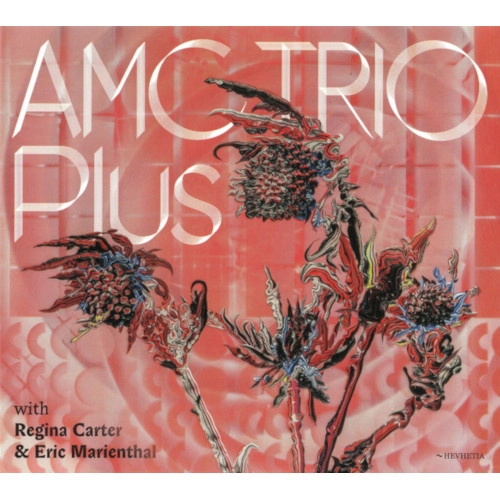AMC TRIO / PLUS