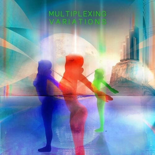 V.A. / オムニバス / MULTIPLEXING VARIATIONS