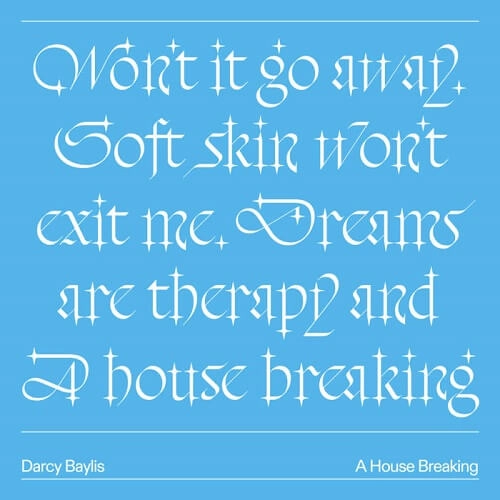 DARCY BAYLIS / HOUSE BREAKING