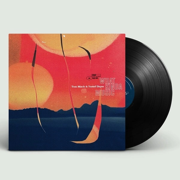 TOM MISCH & YUSSEF DAYES / トム・ミッシュ&ユセフ・デイズ / WHAT KINDA MUSIC (STANDARD/2LP)