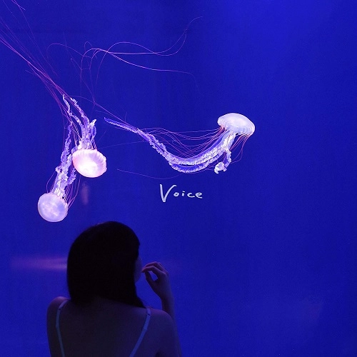 AKAIKURAGE / 赤いくらげ / Voice